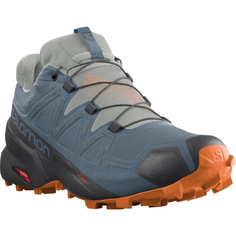 Sapatilhas Trail Running Salomon Speedcross 5 GTX Masculino Azuis | PT H09541